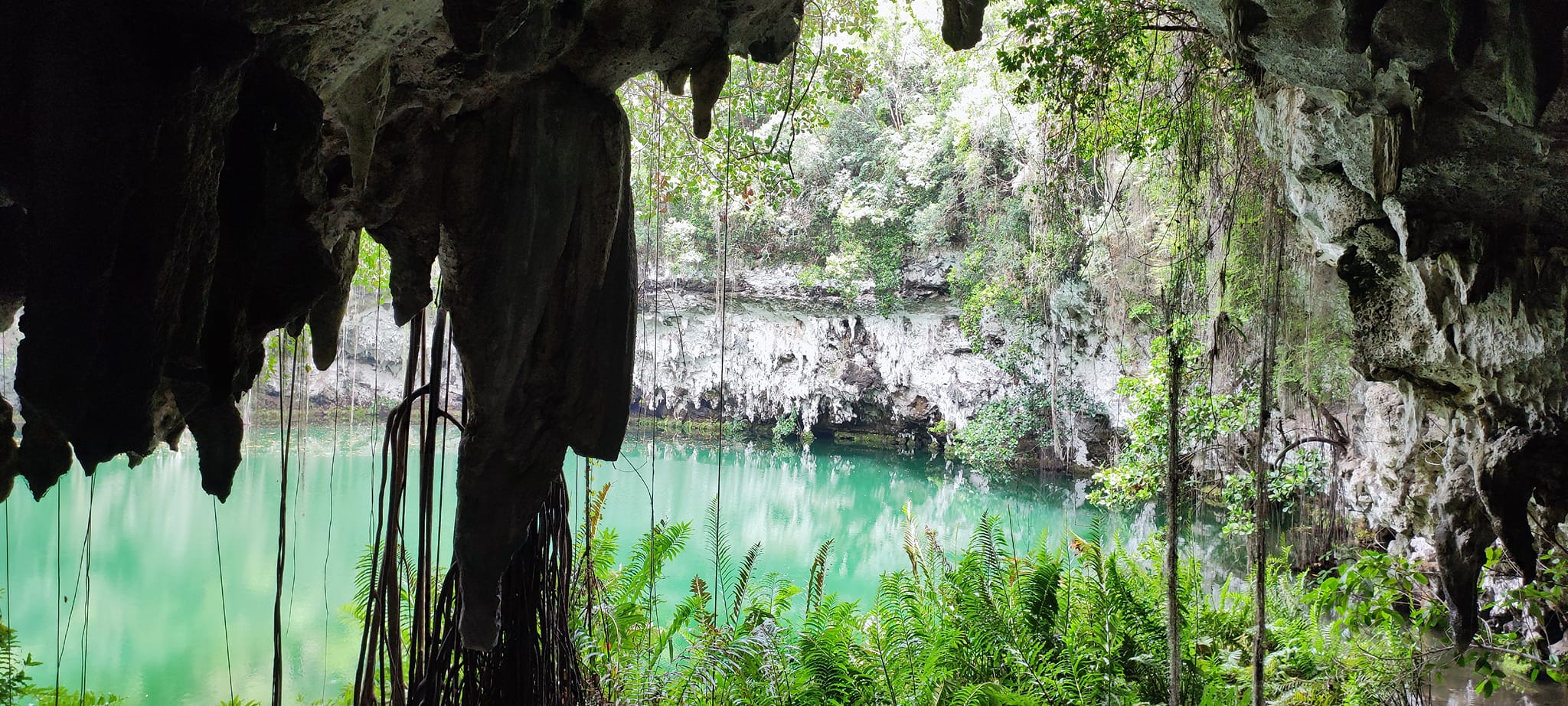 Un imperdible de Dominicana, es conocer dónde si filmaron escenas de Jurasik Park