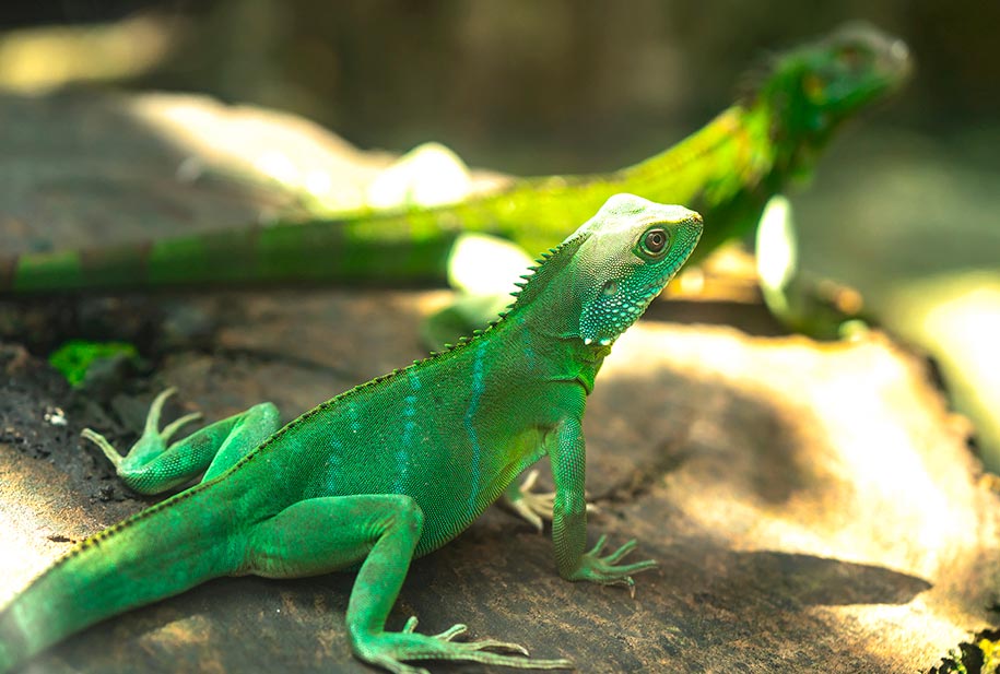 Conoce a las tres parejas más famosas que se hospedan en UNICO 20°87° Hotel Riviera Maya