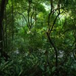 MiAMBIENTE hace un llamado a respetar las normas ambientales establecidas al visitar las áreas protegidas