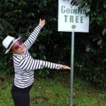 Desde 1898, la tradición del café elevado a la experiencia Geisha: EL MEJOR CAFÉ DEL MUNDO