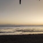 Los aliados que hacen posible Pasaporte Abierto 11: cuando el patrocinio se convierte en un gesto cultural