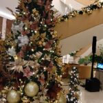 HYATT REGENCY PANAMA CITY realizó su primera encendida del árbol de navidad funto A Fundación Nimu