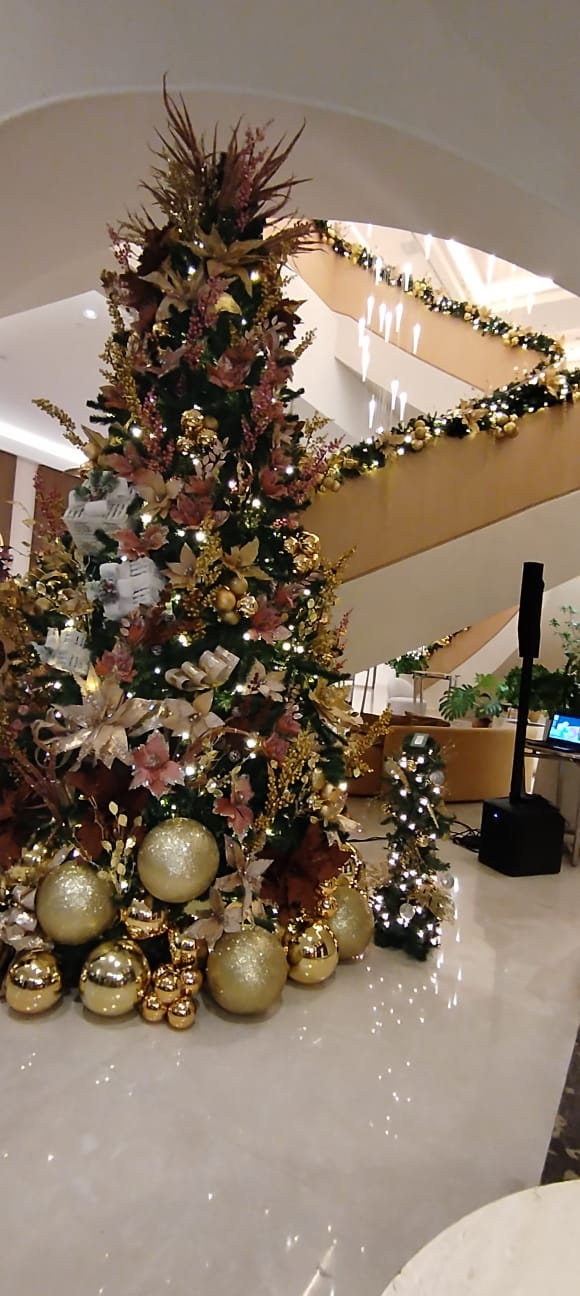 HYATT REGENCY PANAMA CITY realizó su primera encendida del árbol de navidad funto A Fundación Nimu